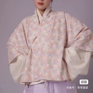 Early Ming dynasty hanfu bunny pattern duichuanjiao top
